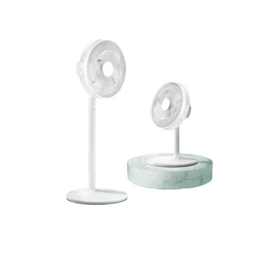 Electric Fan Mould